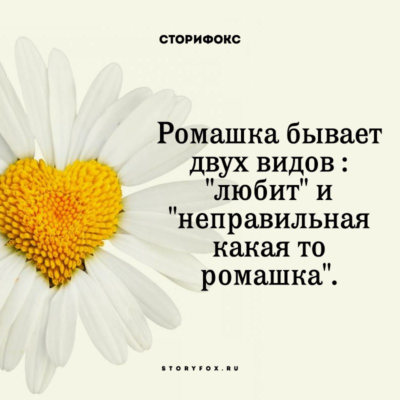   - 12  2016  11:12