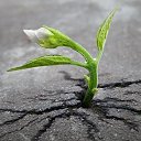 ���� �������, ������ - ��������� 26 ��� 2016 � ������ ���� ����������