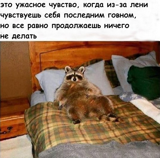  -   - 28  2016  22:45
