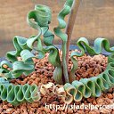 ���� Eric, ����, 61 ��� - ��������� 21 ��� 2016 � ������ �Flora and fauna�