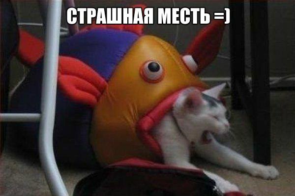   - 23  2016  15:54