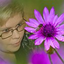 ���� ��������, �����-���������, 53 ���� - ��������� 5 ���� 2016 � ������ ���� ����������