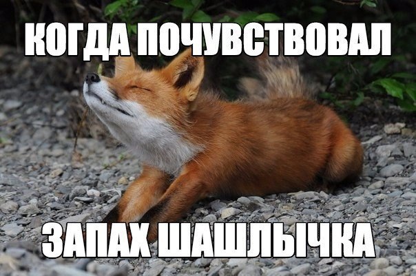 ? ,  ! - 25  2016  06:51
