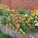 ���� �����, ������, 48 ��� - ��������� 14 ������� 2016 � ������ ��������