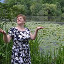 ���� ���������, ��� - ��������� 29 ��� 2016 � ������ ���� ����������