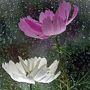 ���� �����, ���������� - ��������� 12 ������ 2016 � ������ ������ ��������