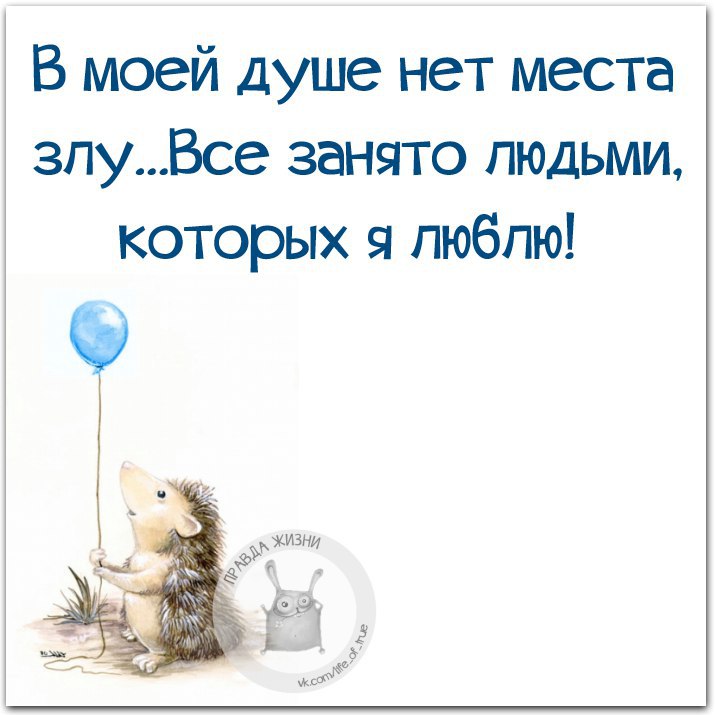   - 6  2016  14:42