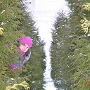 ���� �������, ���������, 40 ��� - ��������� 19 ������� 2016 � ������ ���� ���� �����