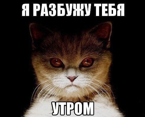 ***Victoria Viktorovna*** - 3  2016  15:05