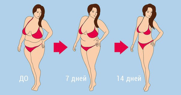 Похудение за 14 дней. 1 день Дневной рацион: 2 или 3 яйца, сырые фрукты и овощи. 2 день Можно съесть ...