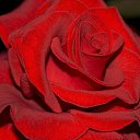 ���� �., ���������� - ��������� 21 ������ 2016 � ������ ����ۻ