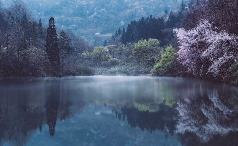 Gwangju, Korea