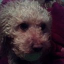 ���� �����, ������ - ��������� 5 �������� 2016 � ������ ������