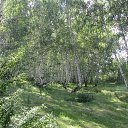  , -- -  24  2016    2016