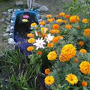 ���� �������, �������, 62 ���� - ��������� 19 ���� 2016