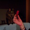 ���� ������, ���������, 56 ��� - ��������� 6 ������ 2016 � ������ ���������� ������