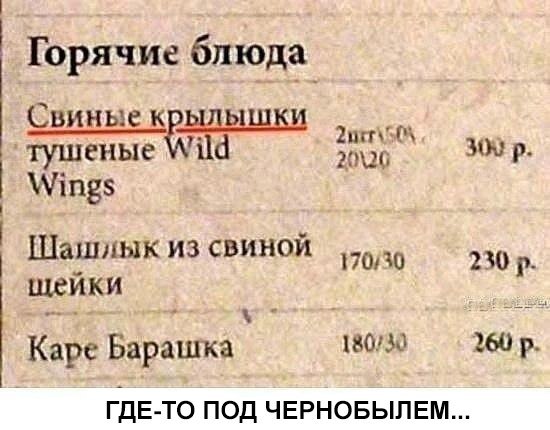    :D - 19  2016  13:04