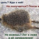 ���� ������, ������, 63 ���� - ��������� 14 ���� 2016 � ������ ������ ��������