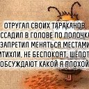 ���� ����, �����, 61 ��� - ��������� 8 ��� 2016 � ������ ������
