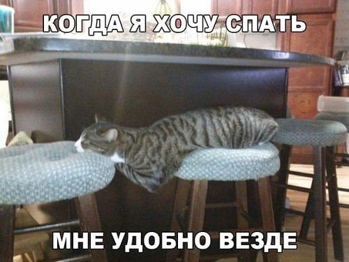 ***Victoria Viktorovna*** - 4  2016  03:52
