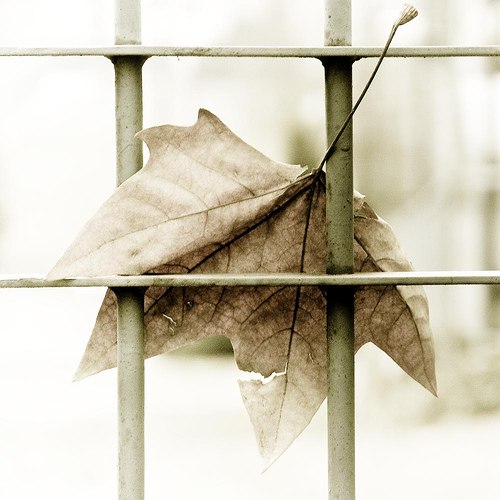 �� ������, ��� �������, � �� �������� ���������, �������! ����� ������ �������, ����� ��������� ...