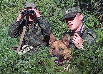 Интересный факт о России. У России есть границы с 16 странами: Норвегией, Финляндией, Эстонией, ...