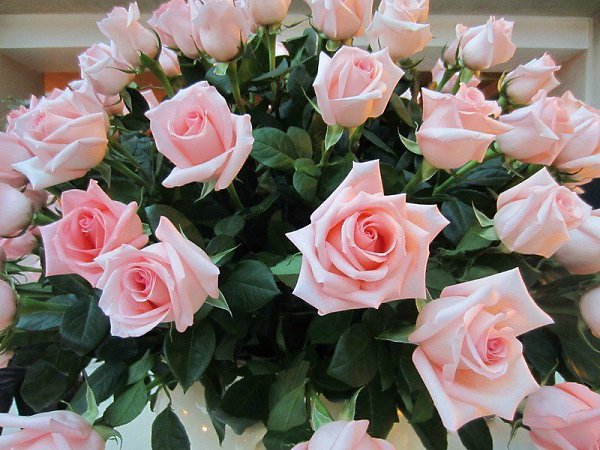 � ������ �����! ������� �������! � ������� ������� �������. ����� ��� ������ ��� ������ ����. � ...