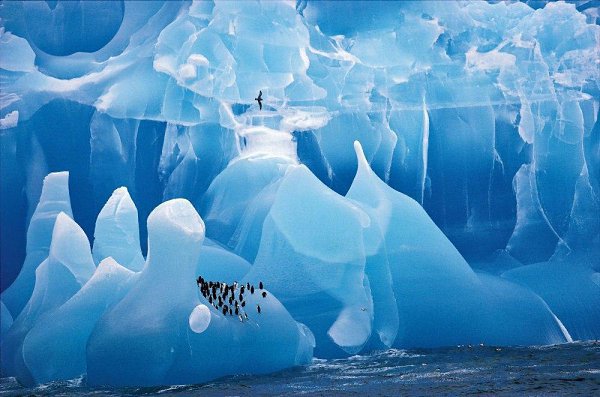 ...поделиться 10 фотографиями без фотошопа, где реальность граничит с иллюзиеи - 4