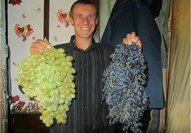 ��� ��� ������!