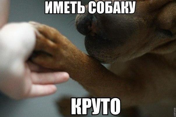  - 2  2017  19:54