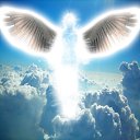 ���� ���������, ������ - ��������� 24 ������� 2016 � ������ ���� ����������