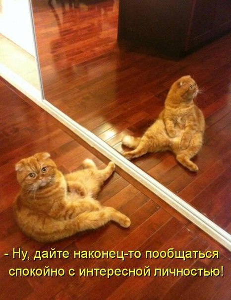 ��� ���� � ����� �� �� - 17 ������� 2017 � 11:23