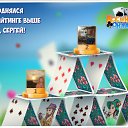 ���� �����, �������� - ��������� 8 ������� 2016 � ������ �������� �������-�������