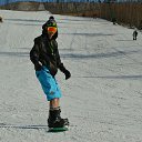 ���� �����, ����, 36 ��� - ��������� 2 ������ 2017 � ������ ���� ����������