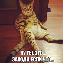 ���� ������, ������, 50 ��� - ��������� 20 ������ 2017 � ������ ������ ��������