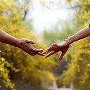 ���� �����, ������� - ��������� 22 �������� 2016 � ������ ���� ����������