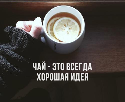    - 17  2016  14:10