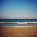 ��������,����������� ����(�������� � 100������ �� ������ ���� �� ������ � ������ ������. �� ������� ��������(��������)�