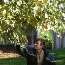 ���� ������, �������� - ��������� 4 ������� 2016 � ������ ���������� ������