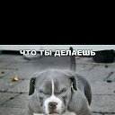  Russl, , 39  -  15  2017