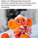 ���� �����������, ����� - ��������� 30 ������ 2017 � ������ ���� ����������