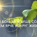 ���� ���������, ��������, 77 ��� - ��������� 22 ������� 2017 � ������ ������ ��������