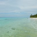 ���� �������, �����������, 75 ��� - ��������� 26 ������� 2017 � ������ ���� ����������