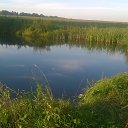 ���� ���������, ������, 37 ��� - ��������� 24 ������� 2016 � ������ ���� ����������