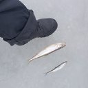  , -, 42  -  25  2017    