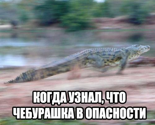    :-) - 15  2016  07:03