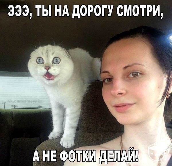     - 3  2017  12:35