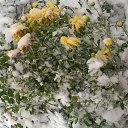 ���� Antonina, ������ - ��������� 6 ������ 2016 � ������ ���� ����������