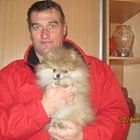 ���� �������, �����-���������, 46 ��� - ��������� 1 ����� 2017