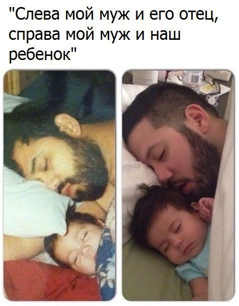  - 20  2017  13:11